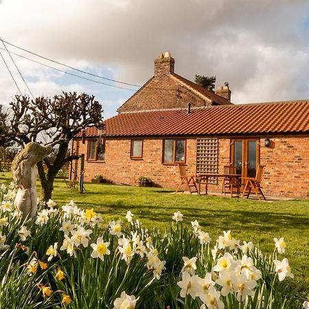 Morndyke Cottage Thirsk Extérieur photo